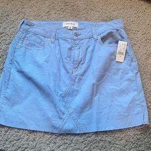 Brand new, tags still on Pacsun skirt! Size 28